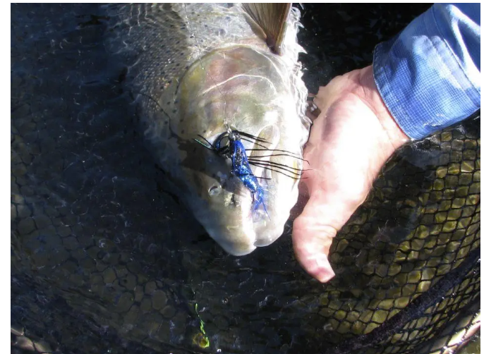 Bend Bulletin: Deschutes River to close Aug. 15 to steelhead, salmon fishing amid weak returns