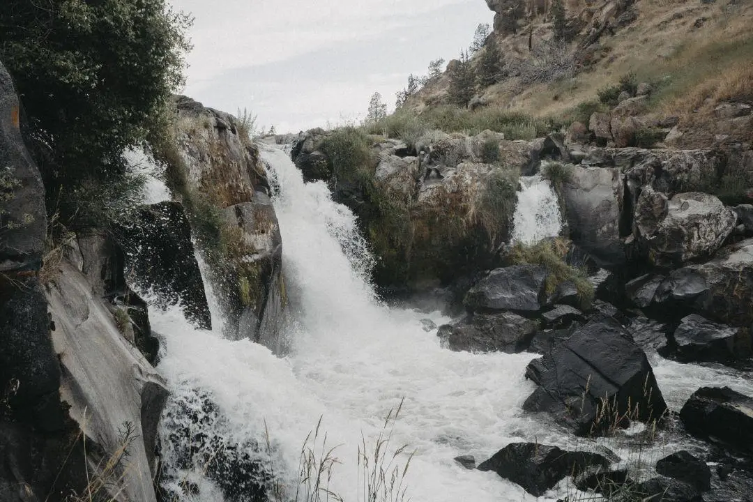 Sisters Coffee Company launches new roast to conserve Deschutes River