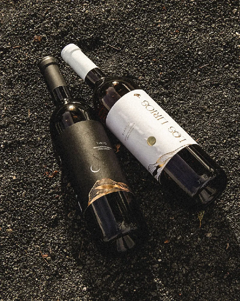 image of the hovered project