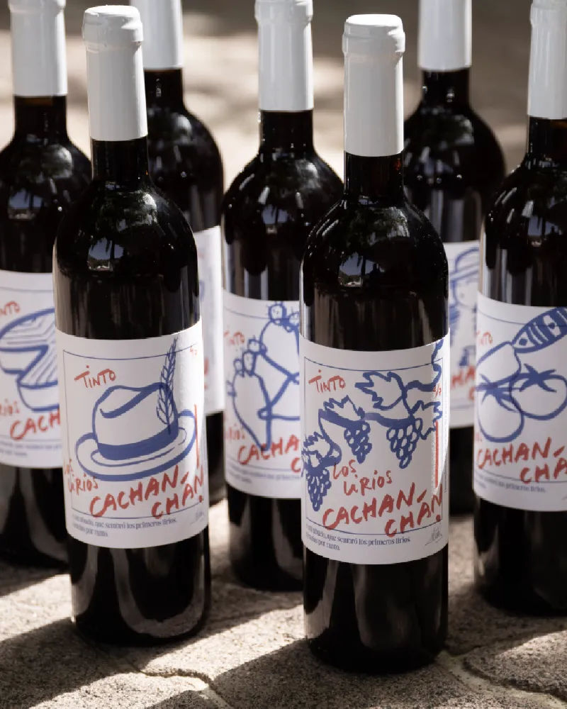 Image showcasing project