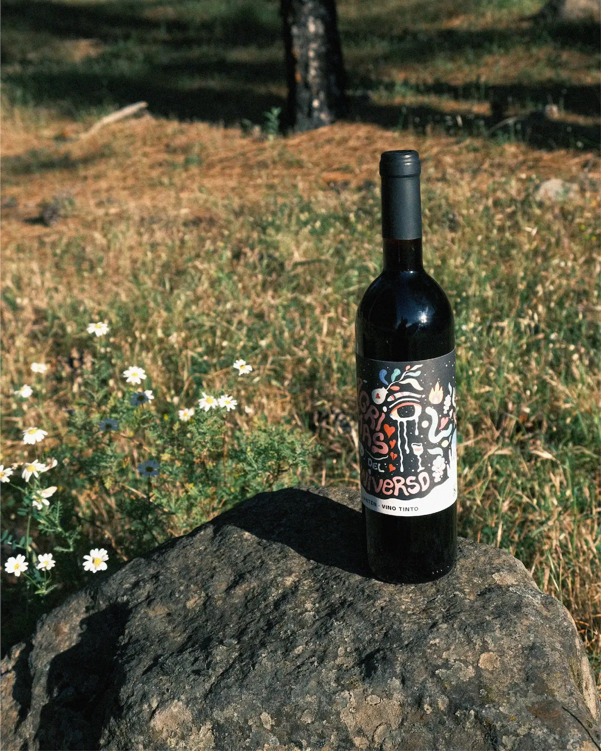 image of the hovered project