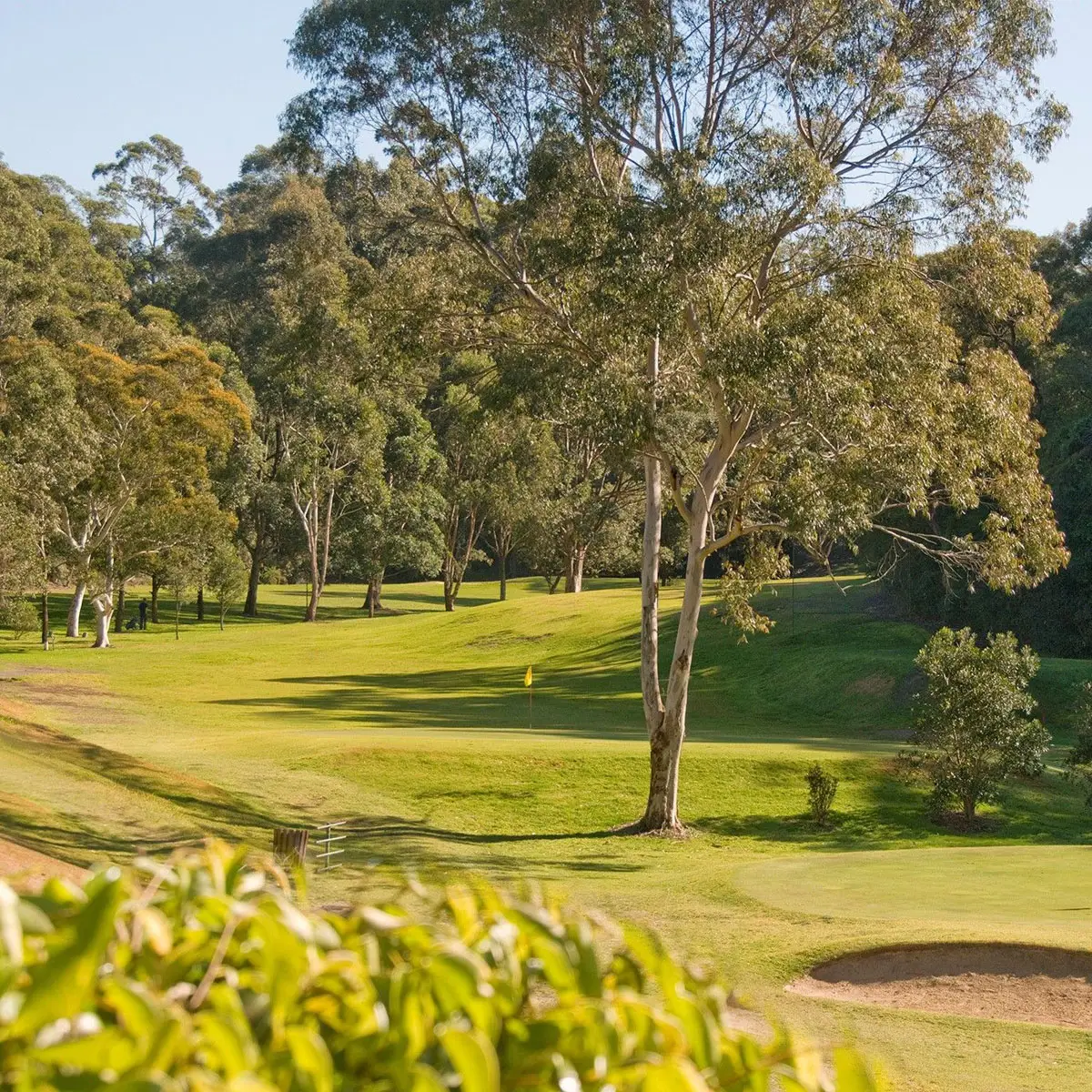  Lane Cove Golf Club's Pro Shop at the Galuwa Recreation Centre.