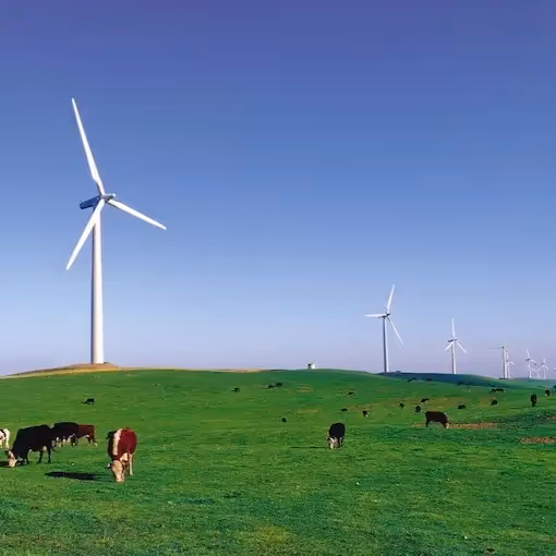 The return of Net Zero politics