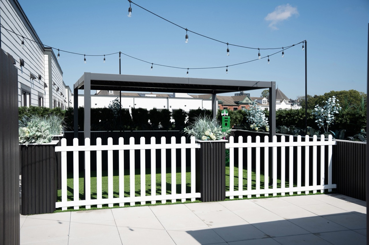 Dog run on rooftop at The Lafayette Stamford