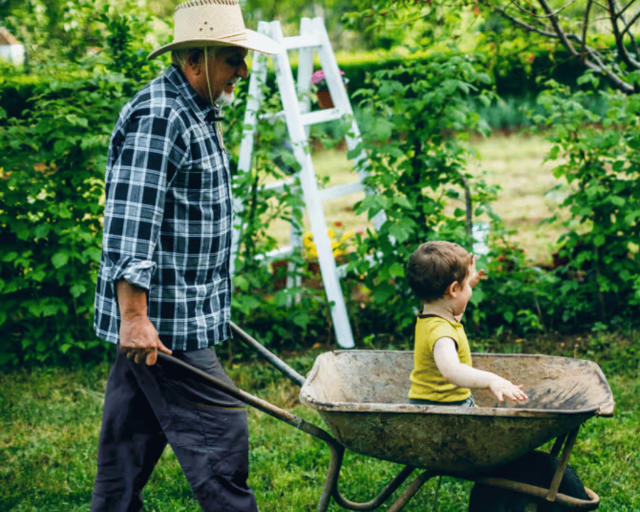 Man in a hat pushing a wheelbarrow with a young child sitting inside in a green garden.