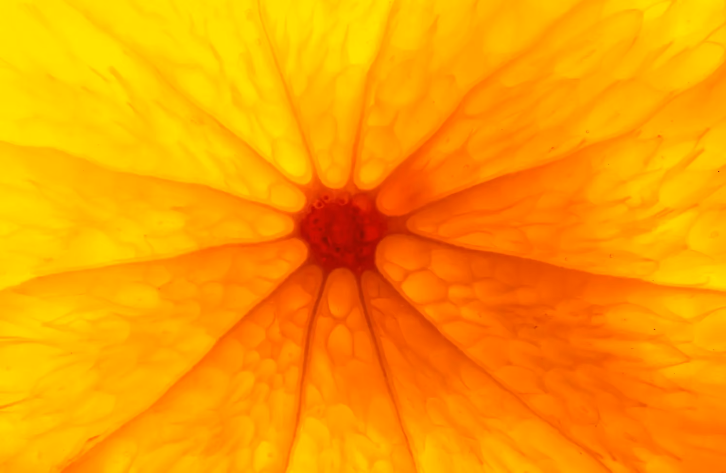 Vitamin C