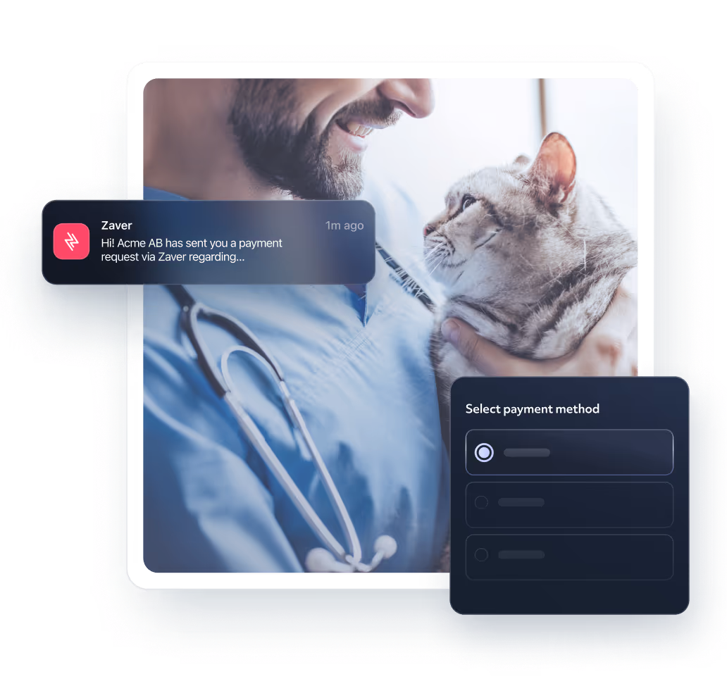 Illustration of a paylink notification from a vet clinic, where the payment is handled at the point of sale, featuring options to select a payment method.