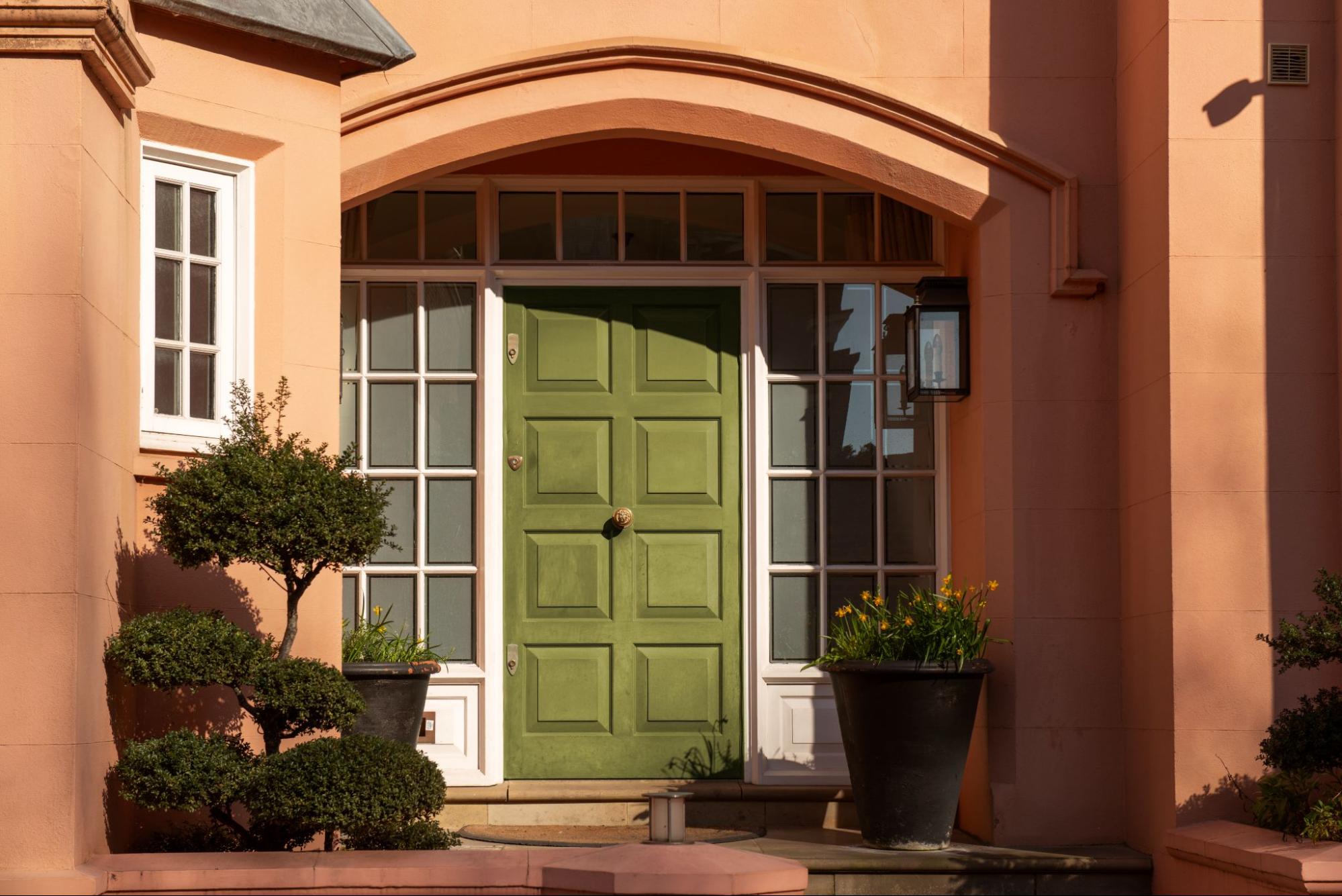 An olive green front door of a house with orange walls and plants.