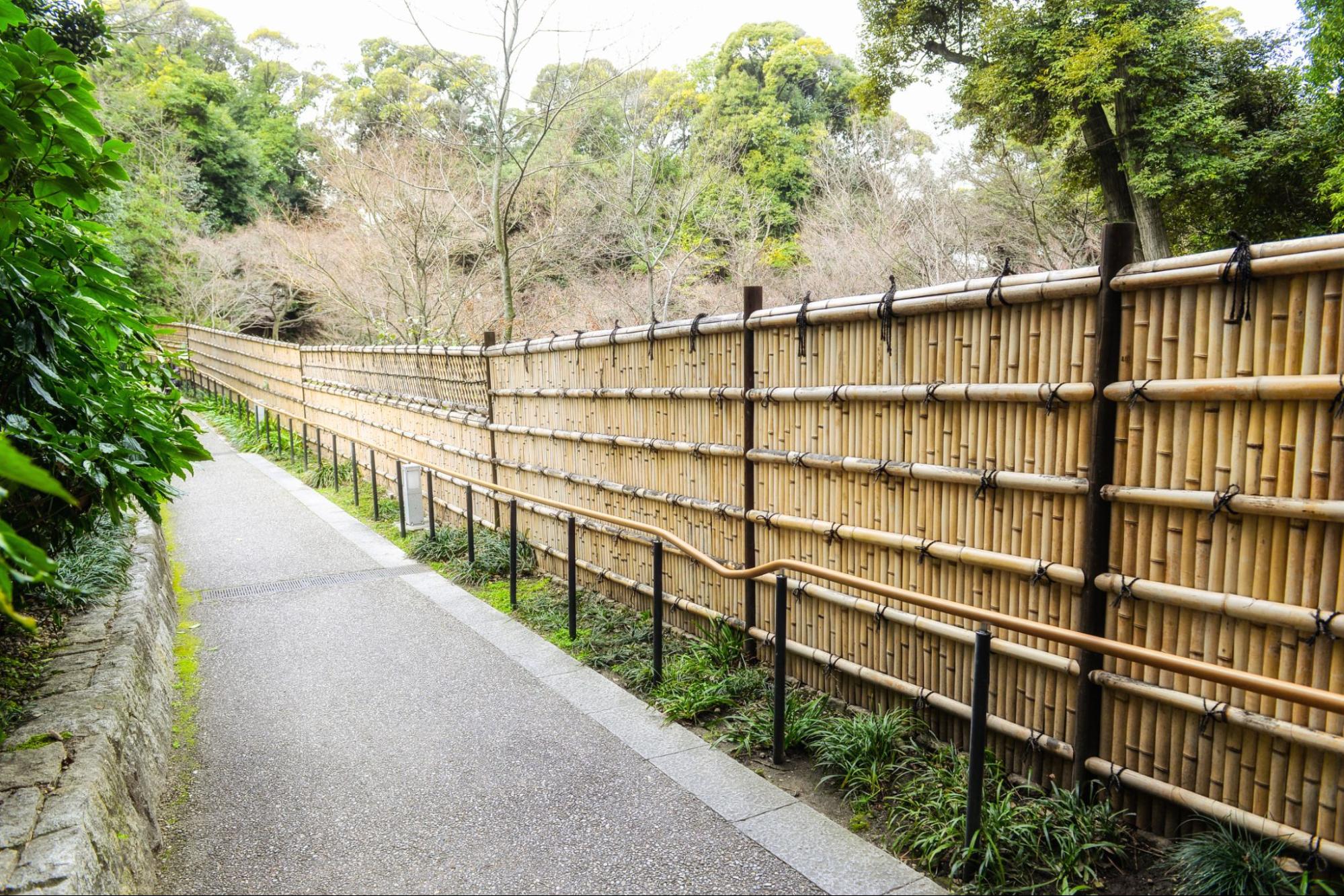 Long, wood fence panels with no gaps, winding down a pathway.