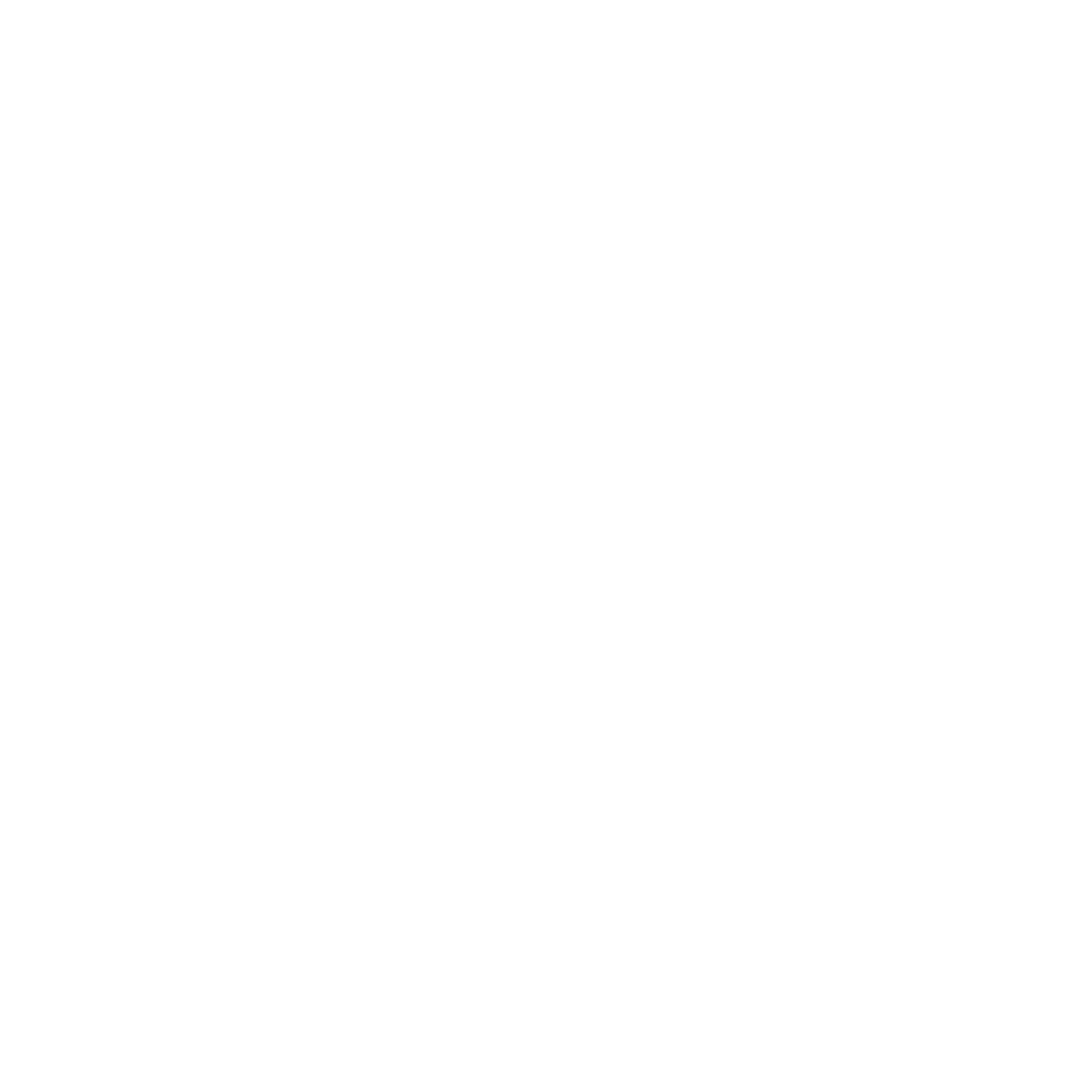 Document icon