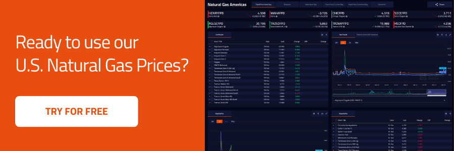 U.S. Natural Gas Prices | General Index