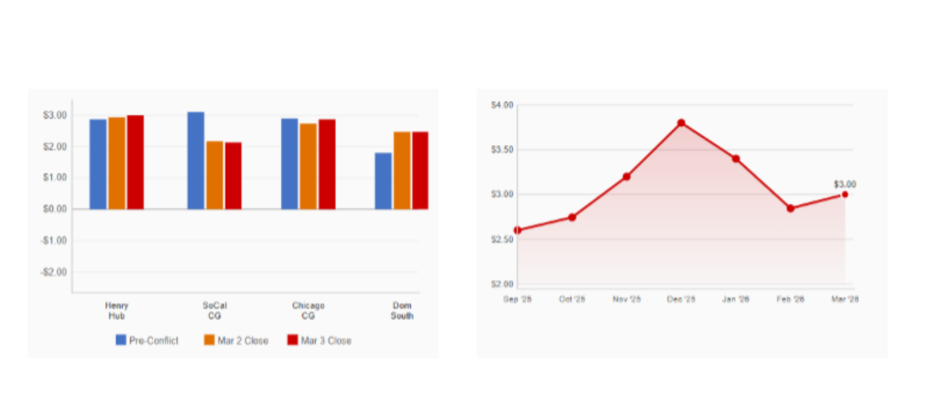 U.S. Natural Gas Price Trends | General index