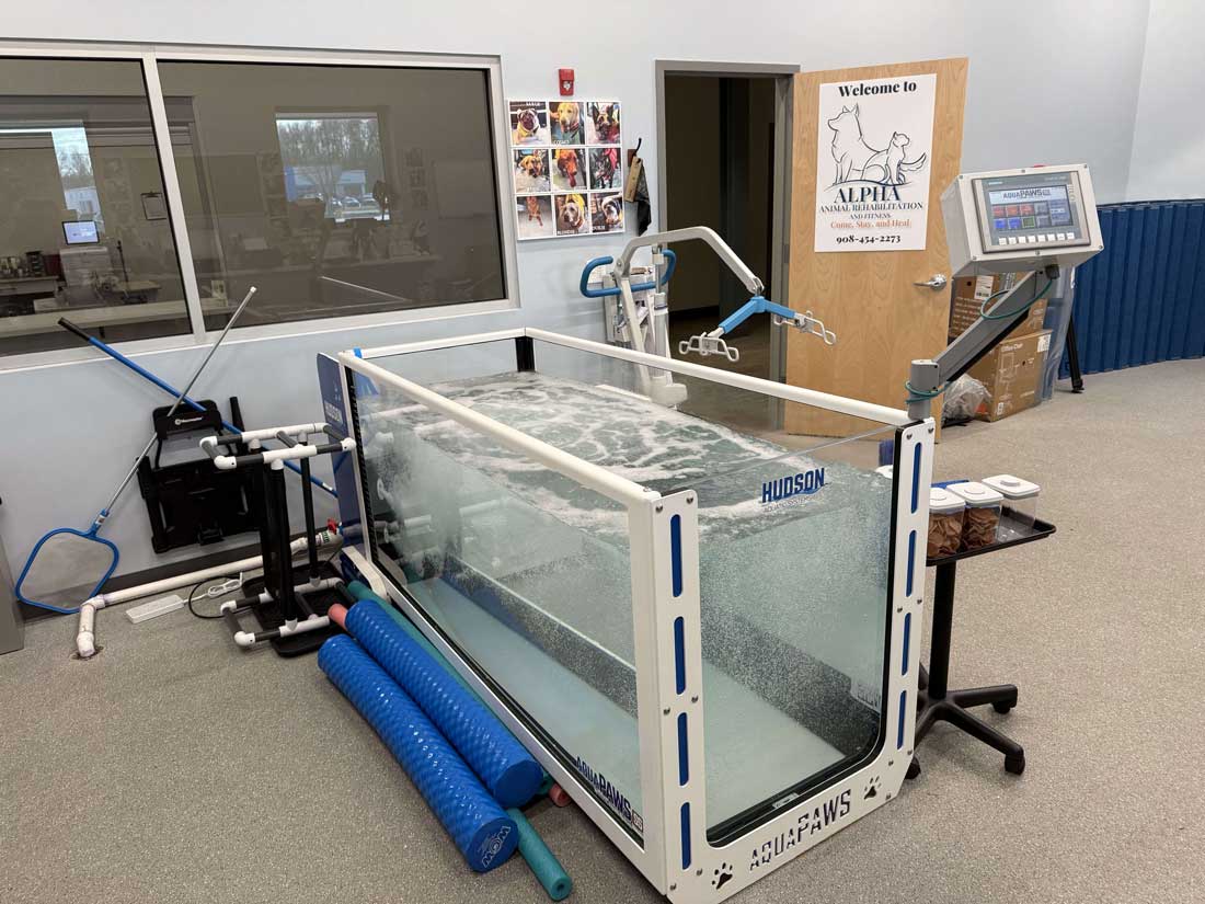 Underwater treadmill setup inside rehabilitation facility