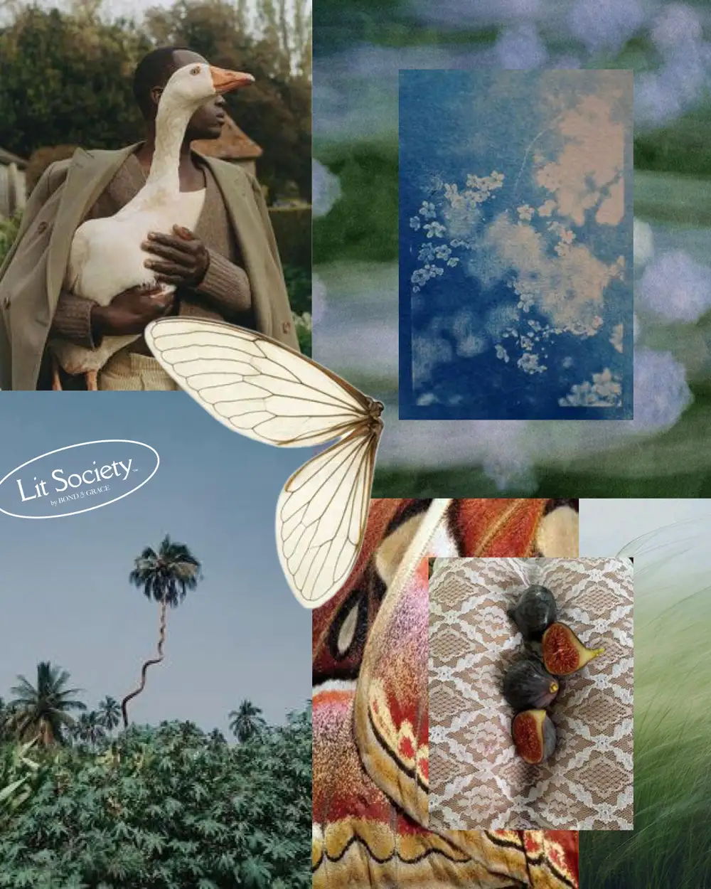 Collage of various images of nature for April Lit Society event lineup