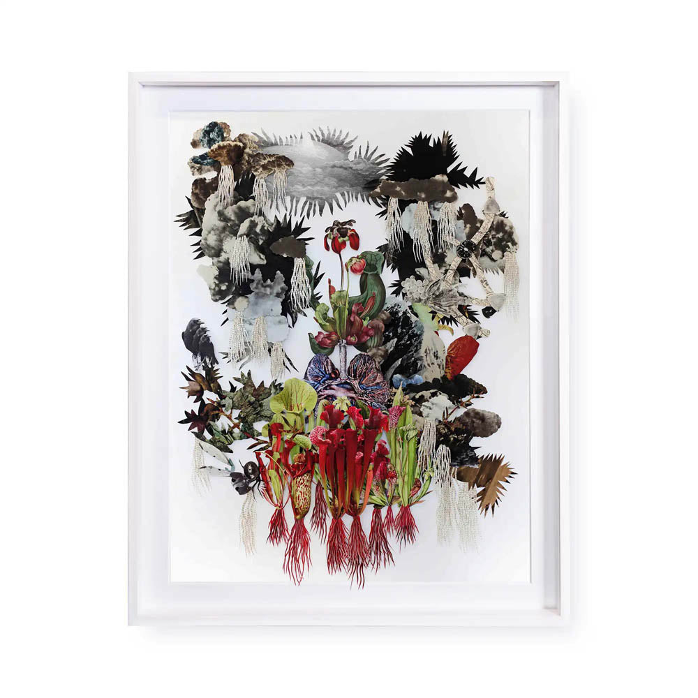 A picture of the artwork