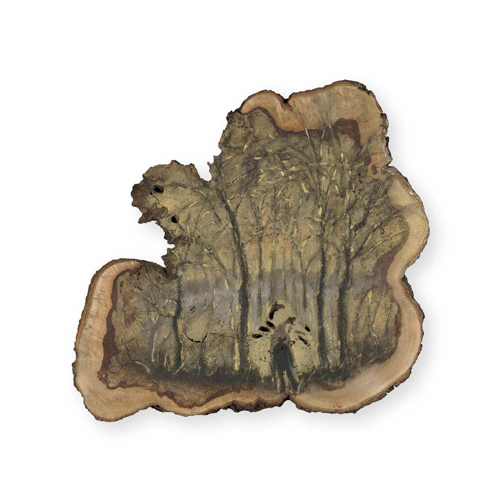 A picture of the artwork