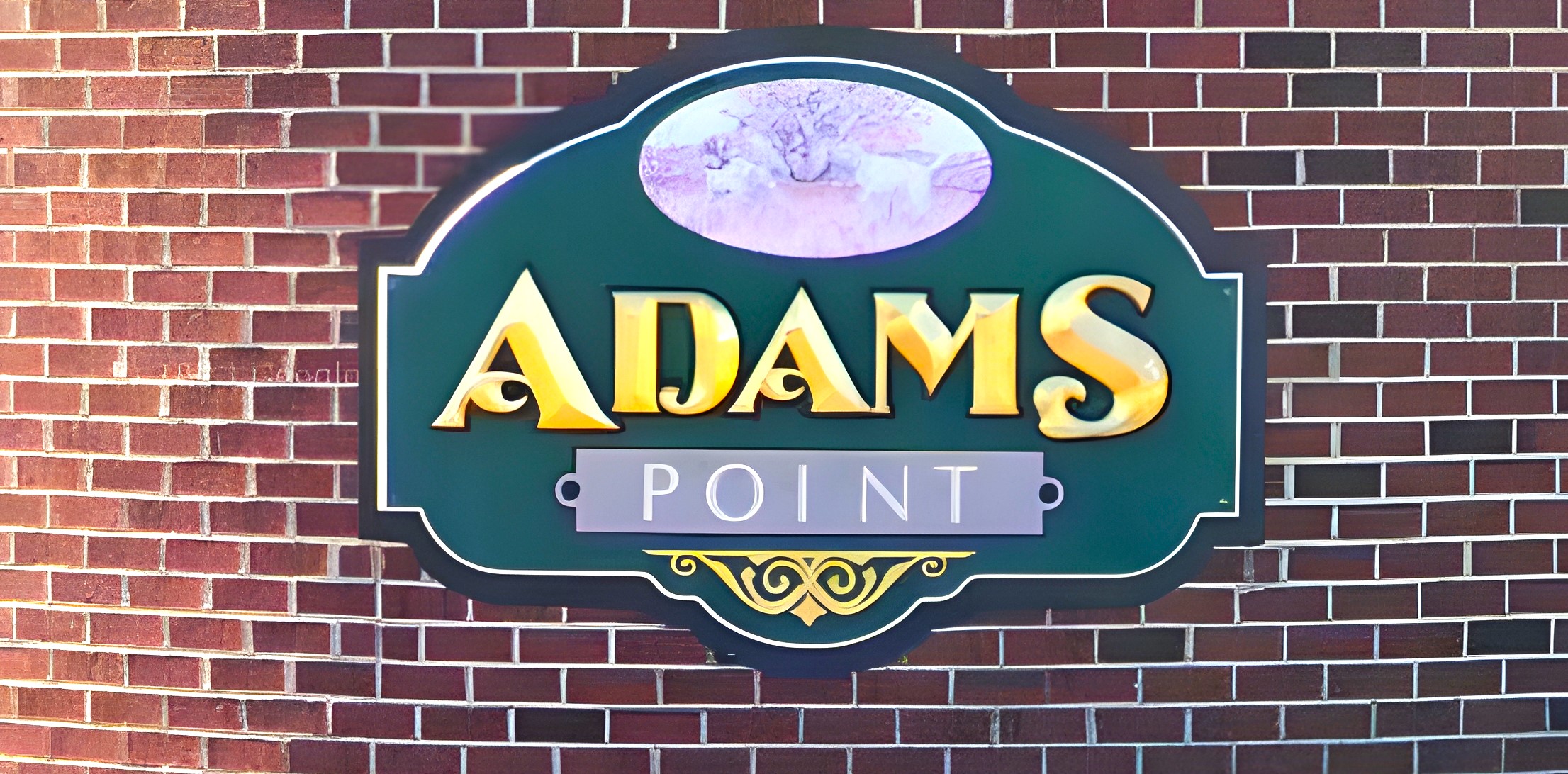 Adams Point neighborhood in Garner, NC