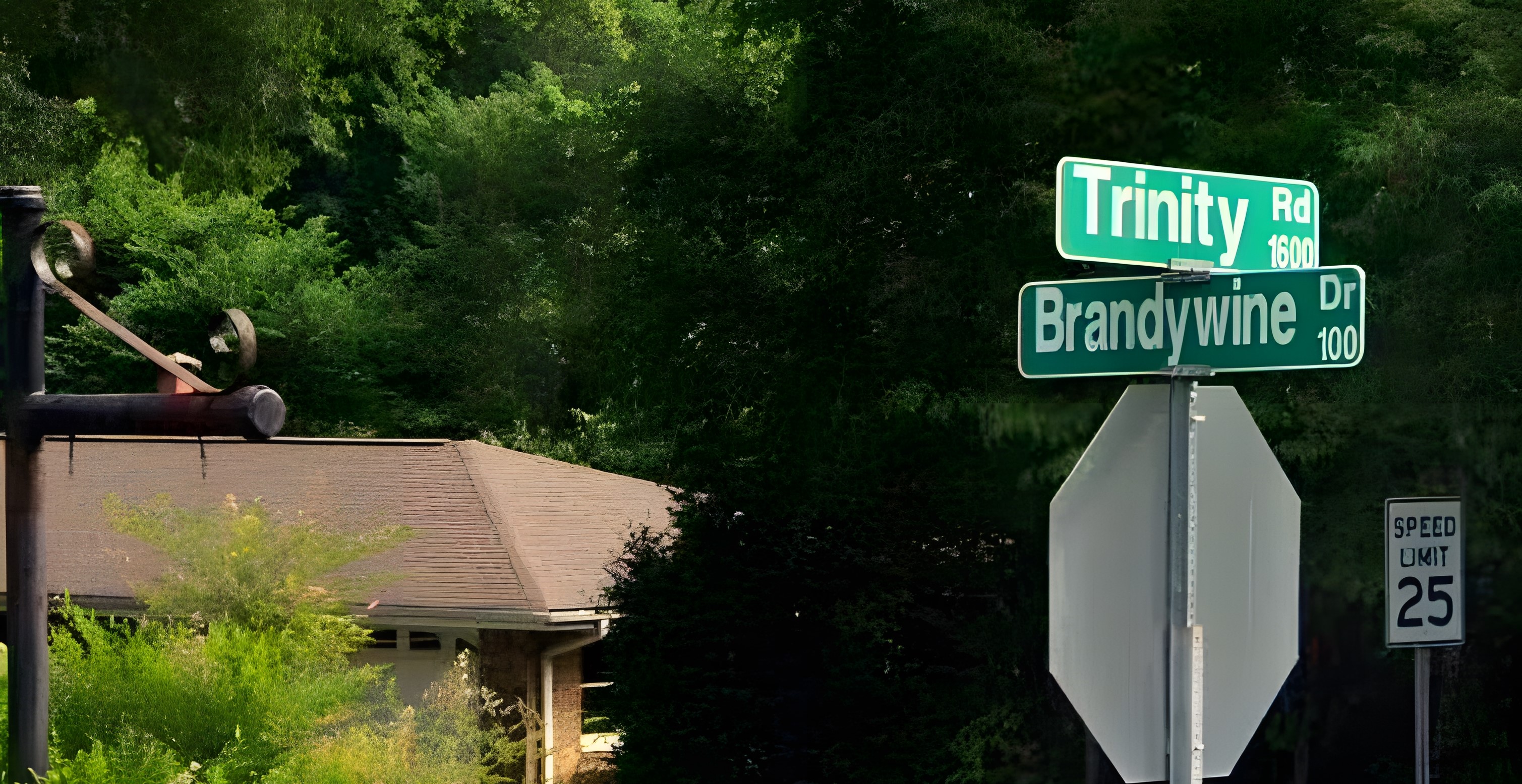 Brandywine neighborhood in Raleigh, NC