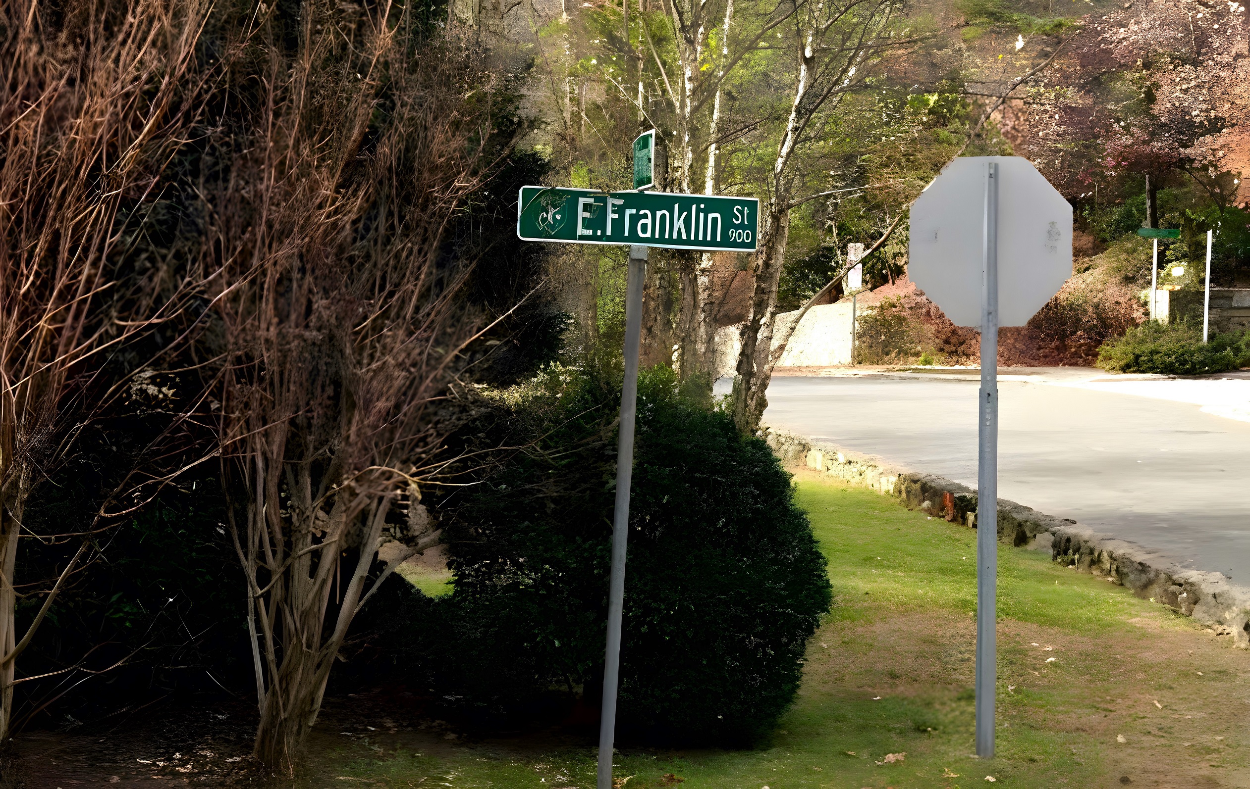 Franklin Hills neighborhood in Chapel Hill, NC