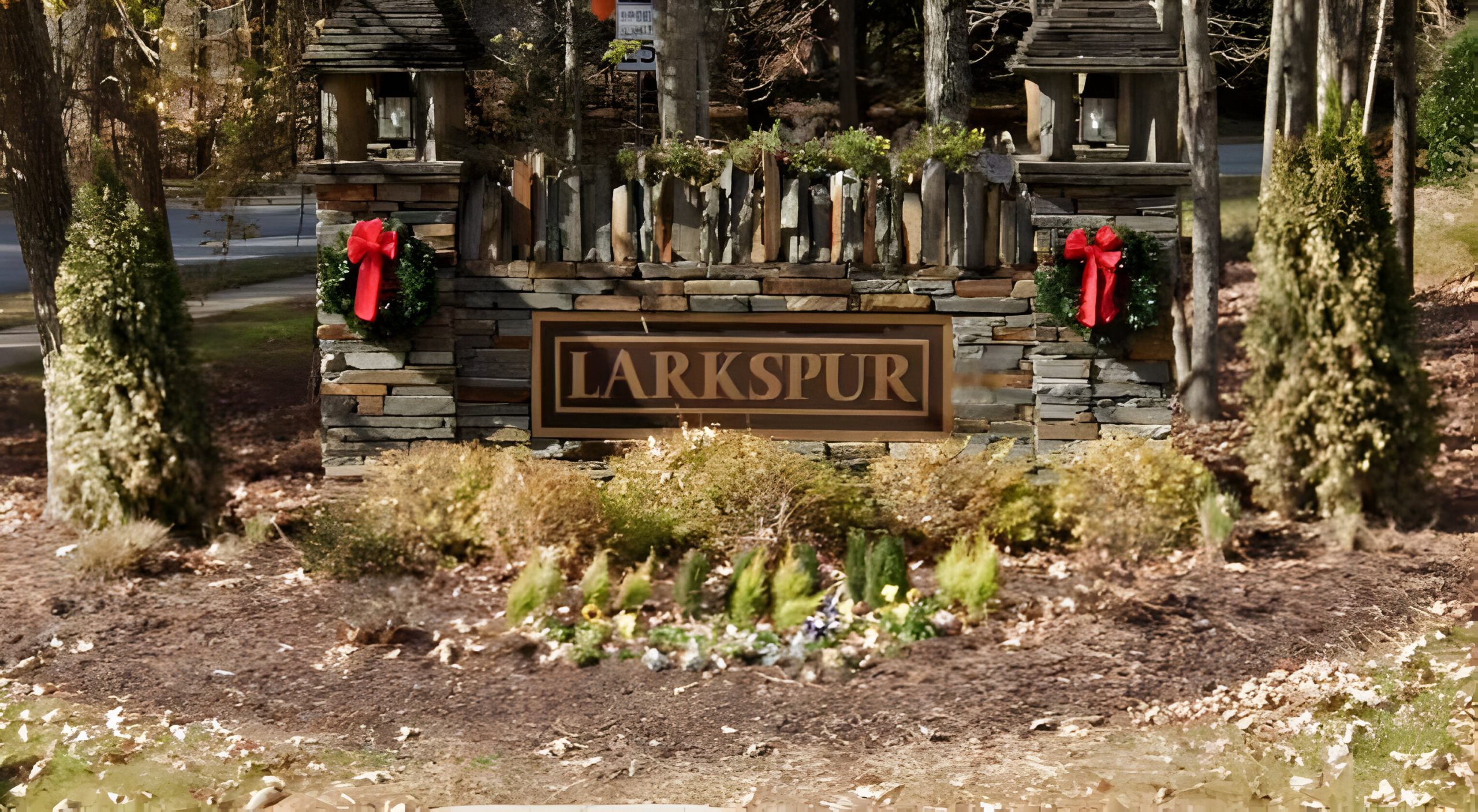 Larkspur neighborhood in Chapel Hill, NC