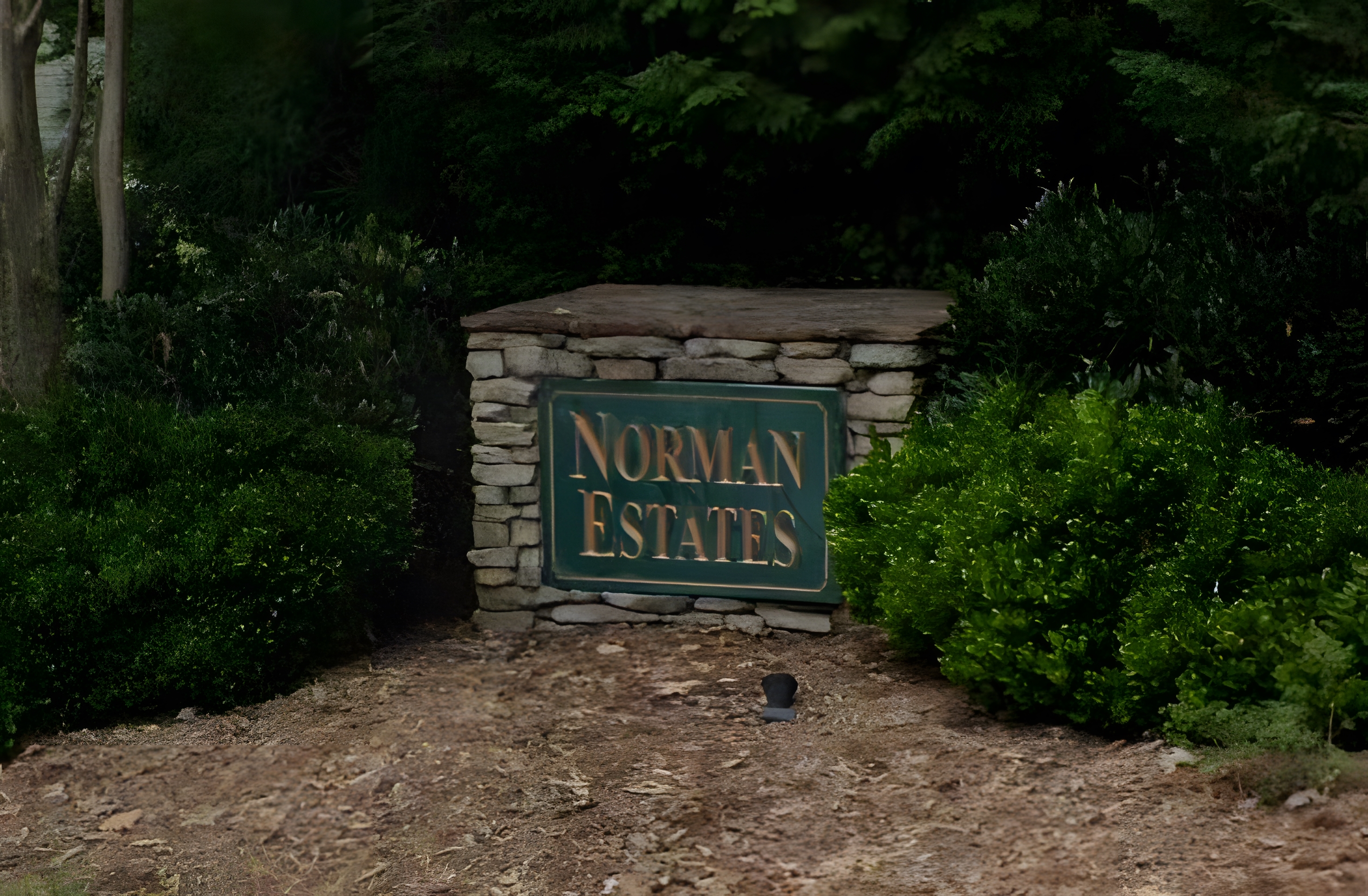 Norman Estates neighborhood in Raleigh, NC