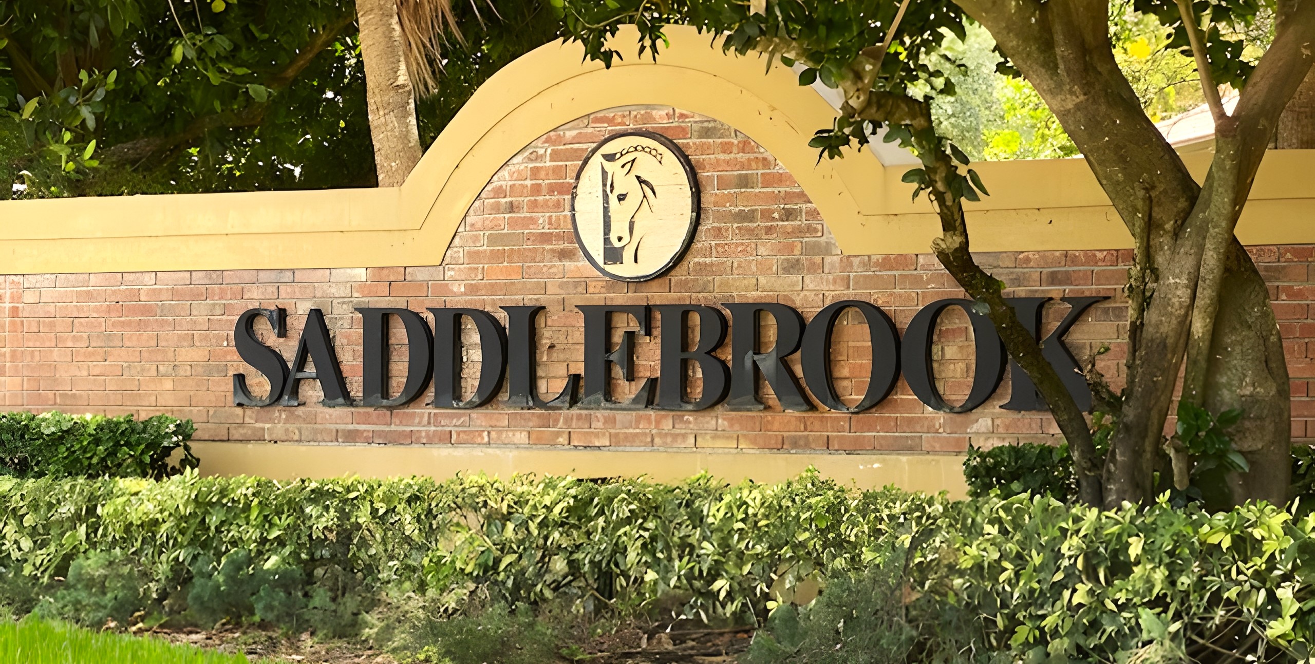 Saddlebrook neighborhood in Apex, NC