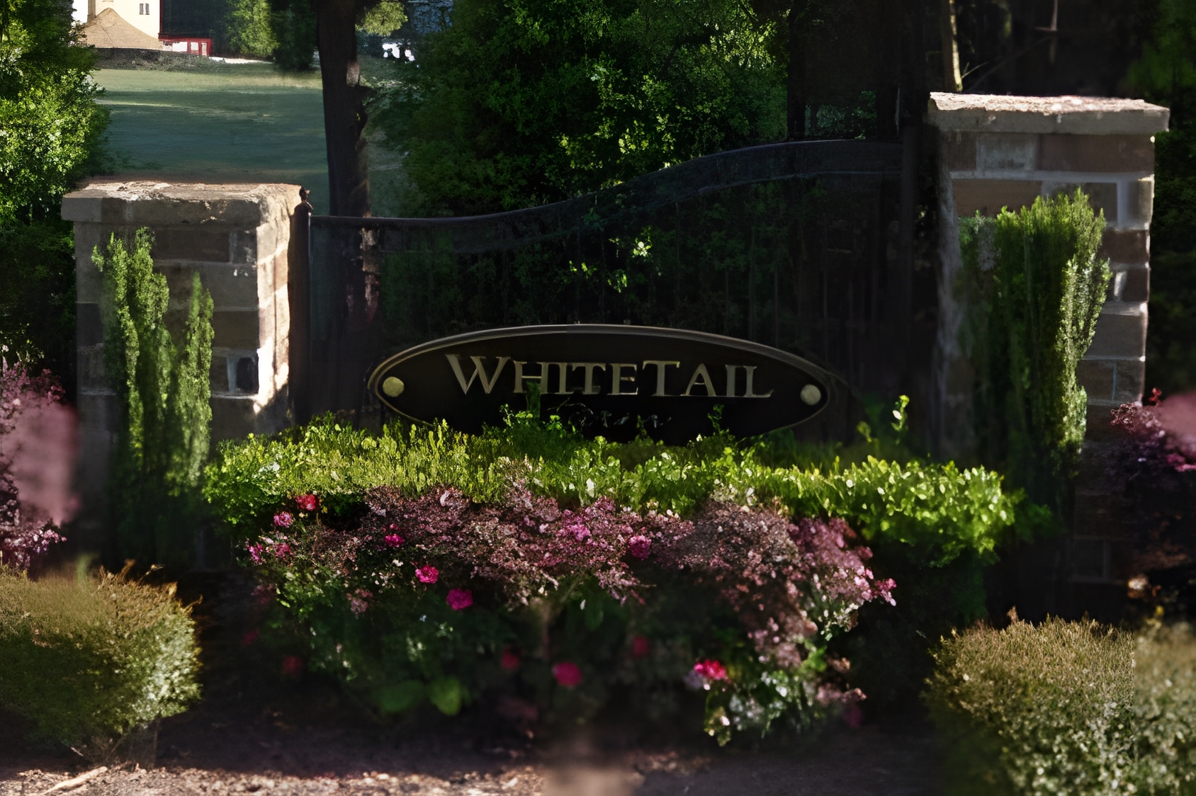 WhiteTail Farm neighborhood in Holly Springs, NC