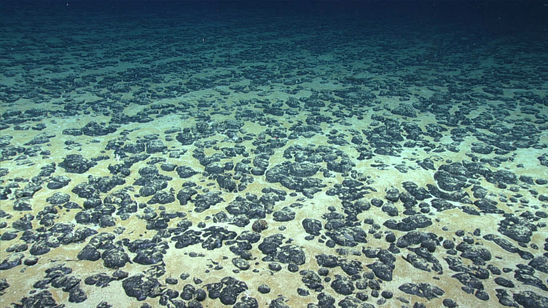 NOAA Advances Deep Sea Minerals Application in Latest U.S. Seabed Mining Move