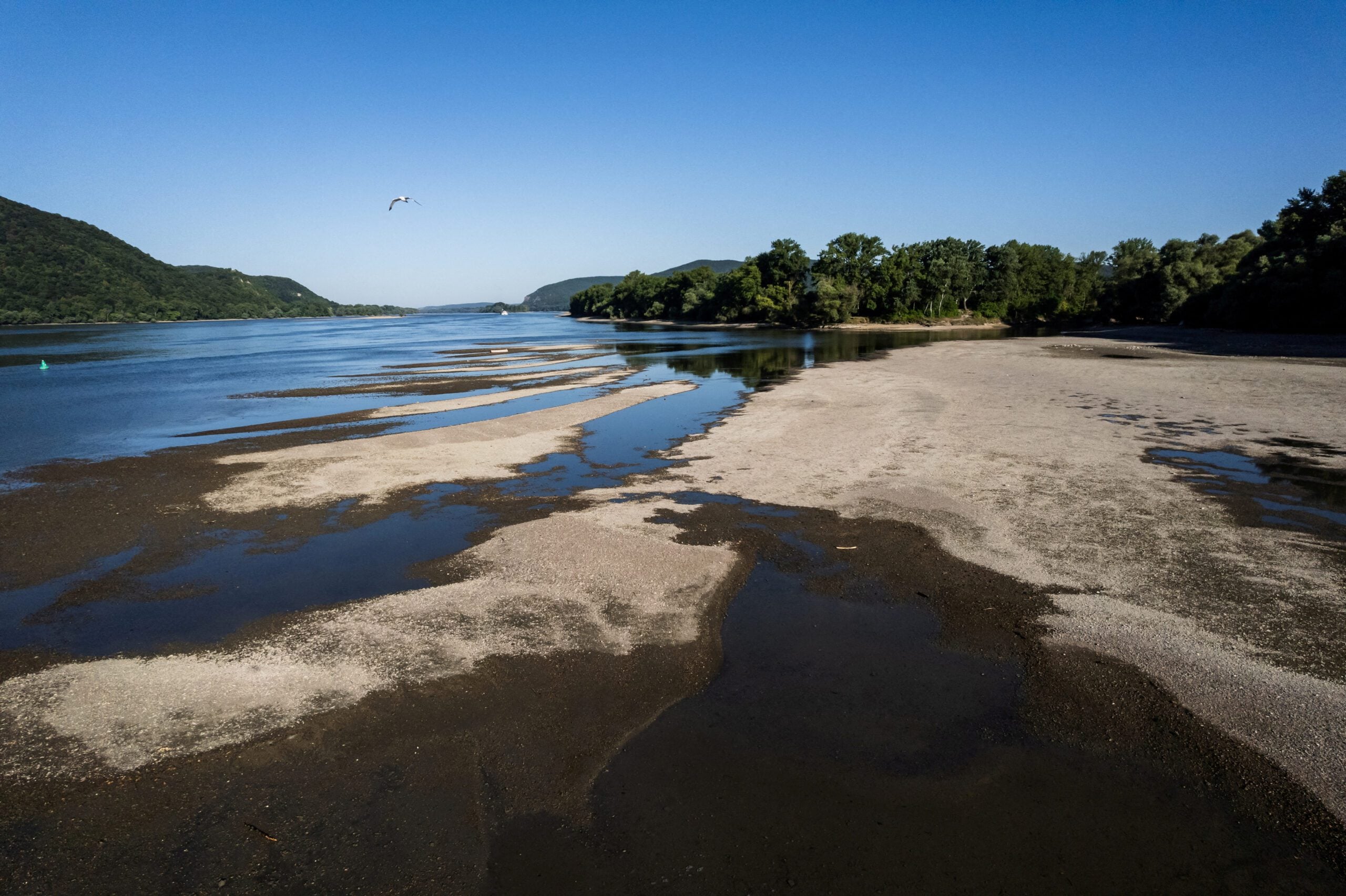 Danube Water Levels Reach Lowest in 30 Years, Hampering Farming and Shipping