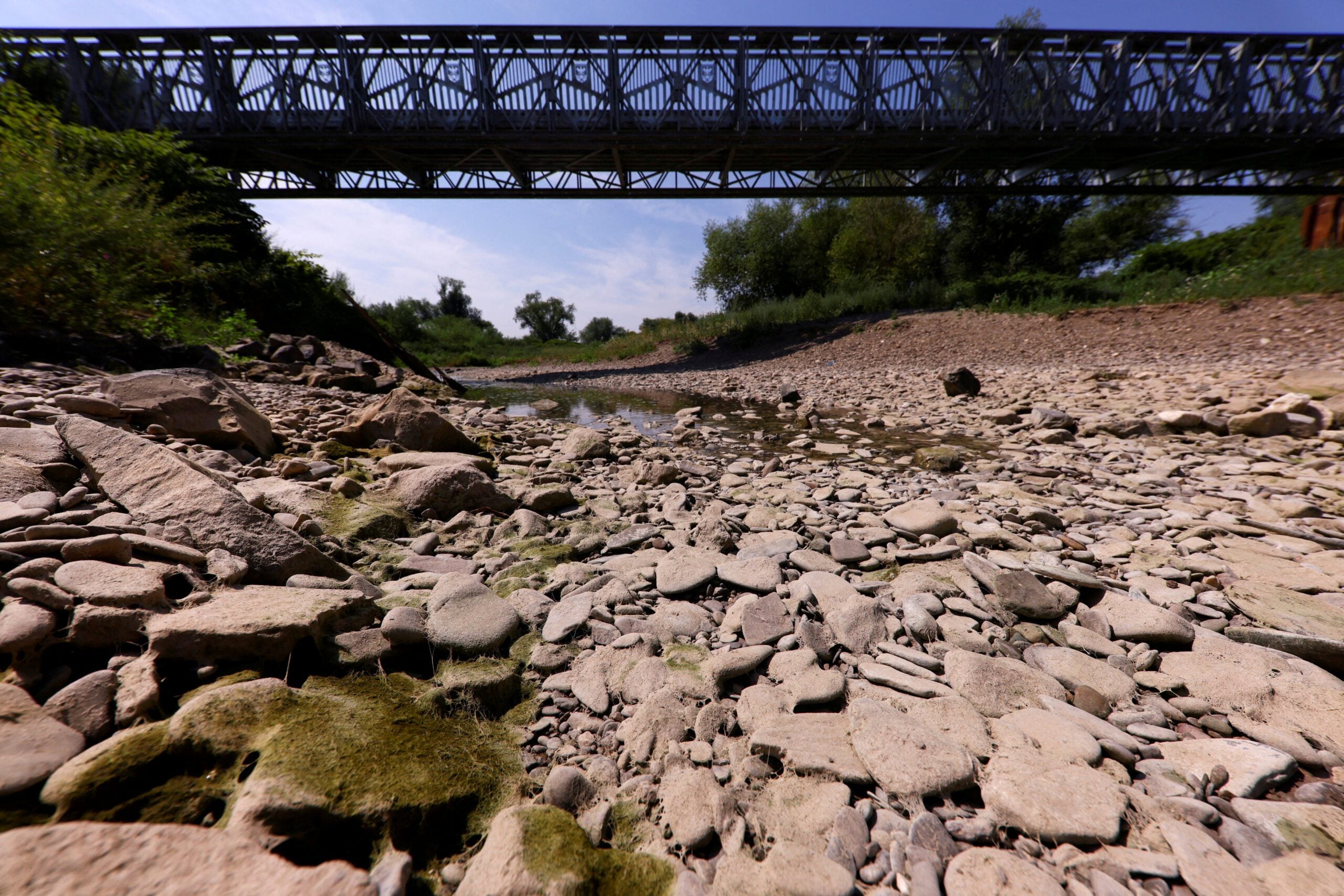 Heat Pushes Rhine Toward 36-Year Low in Risk to Energy Supplies