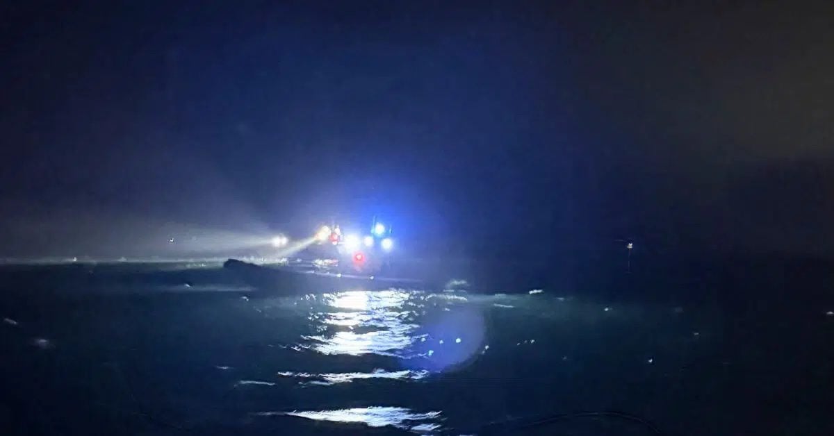Swedish Pilot Named Suspect in Fatal Cargo Ship Collision That Killed Two