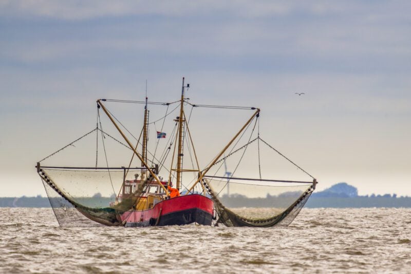 Trump Administration Unveils Seafood Strategy to Boost U.S. Fishing Fleet and Domestic Production