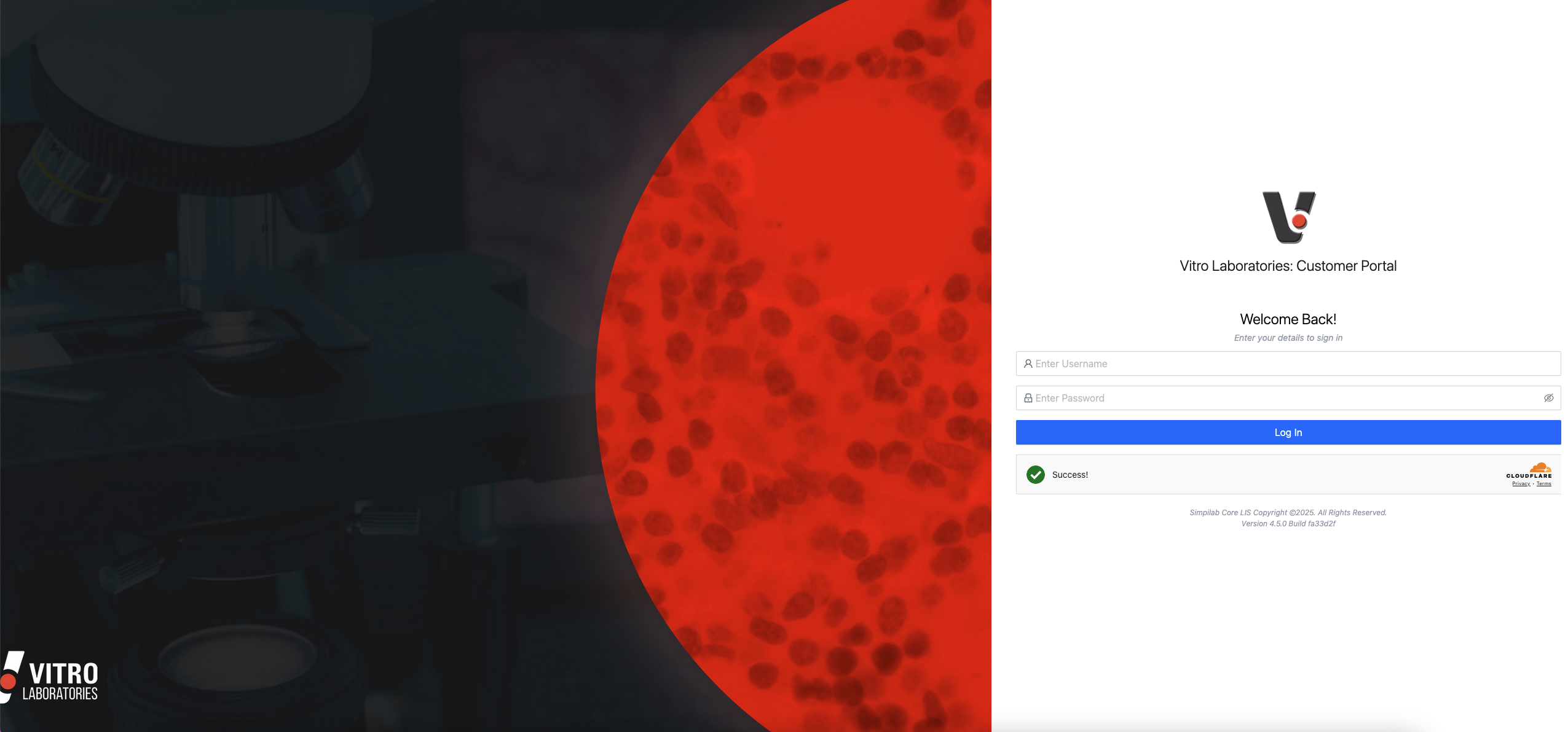 Dashboard mockup