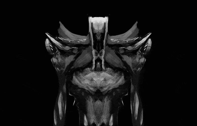 ZBrush Creature Workshop