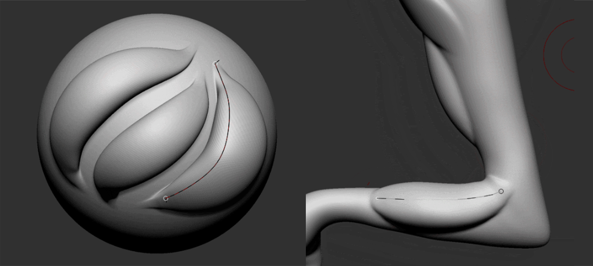 Muscle Custom Curve Brush