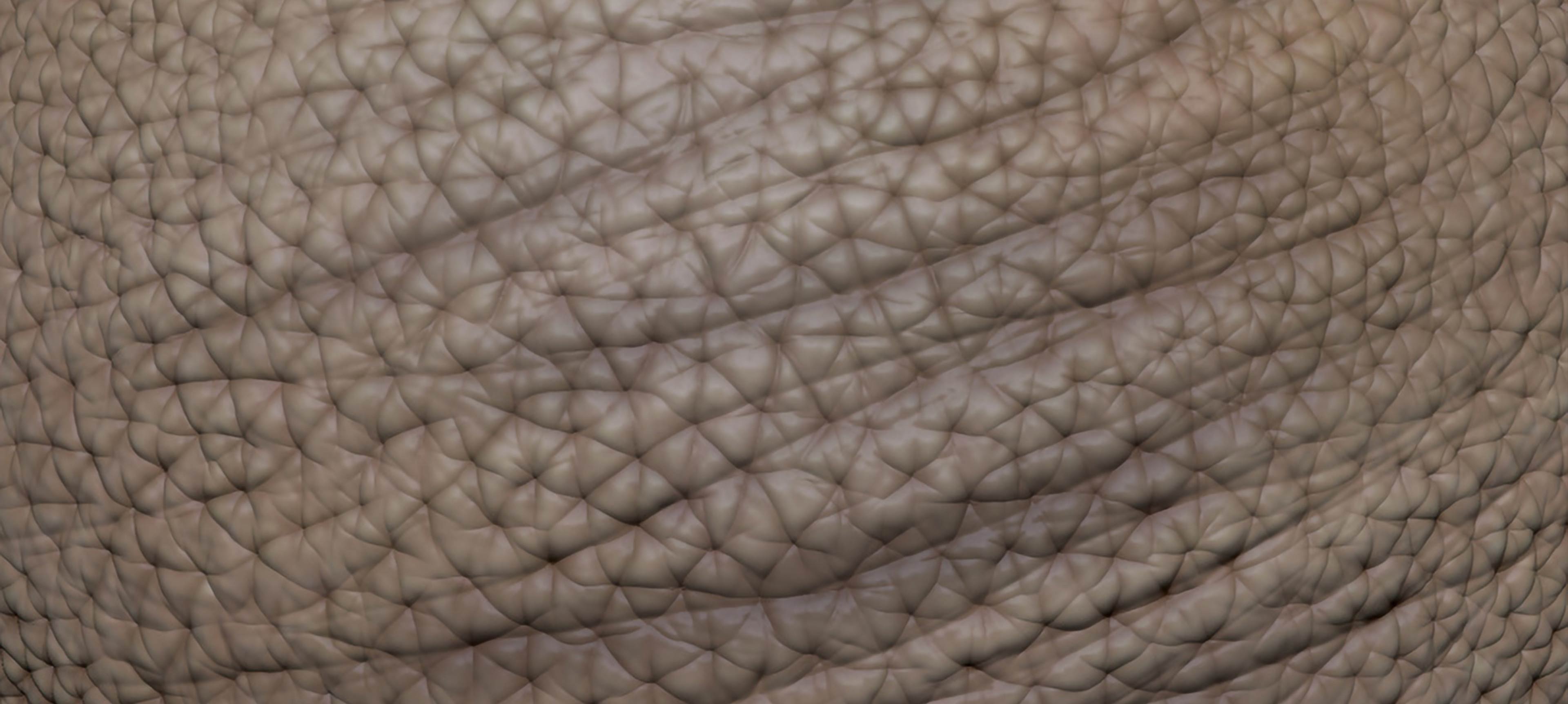Skin Details from Scratch!