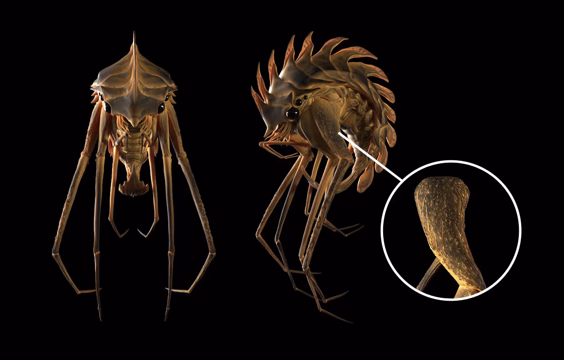 Creating an Alien Creature: Session Two
