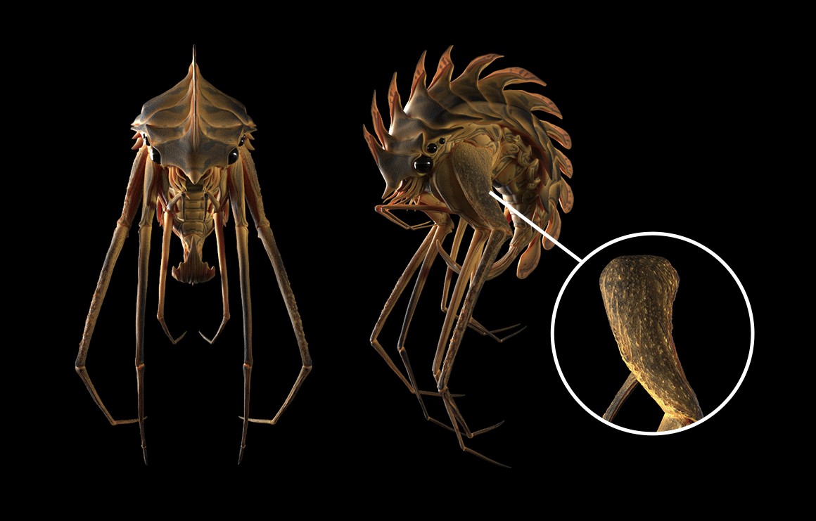 Creating an Alien Creature: Session Two