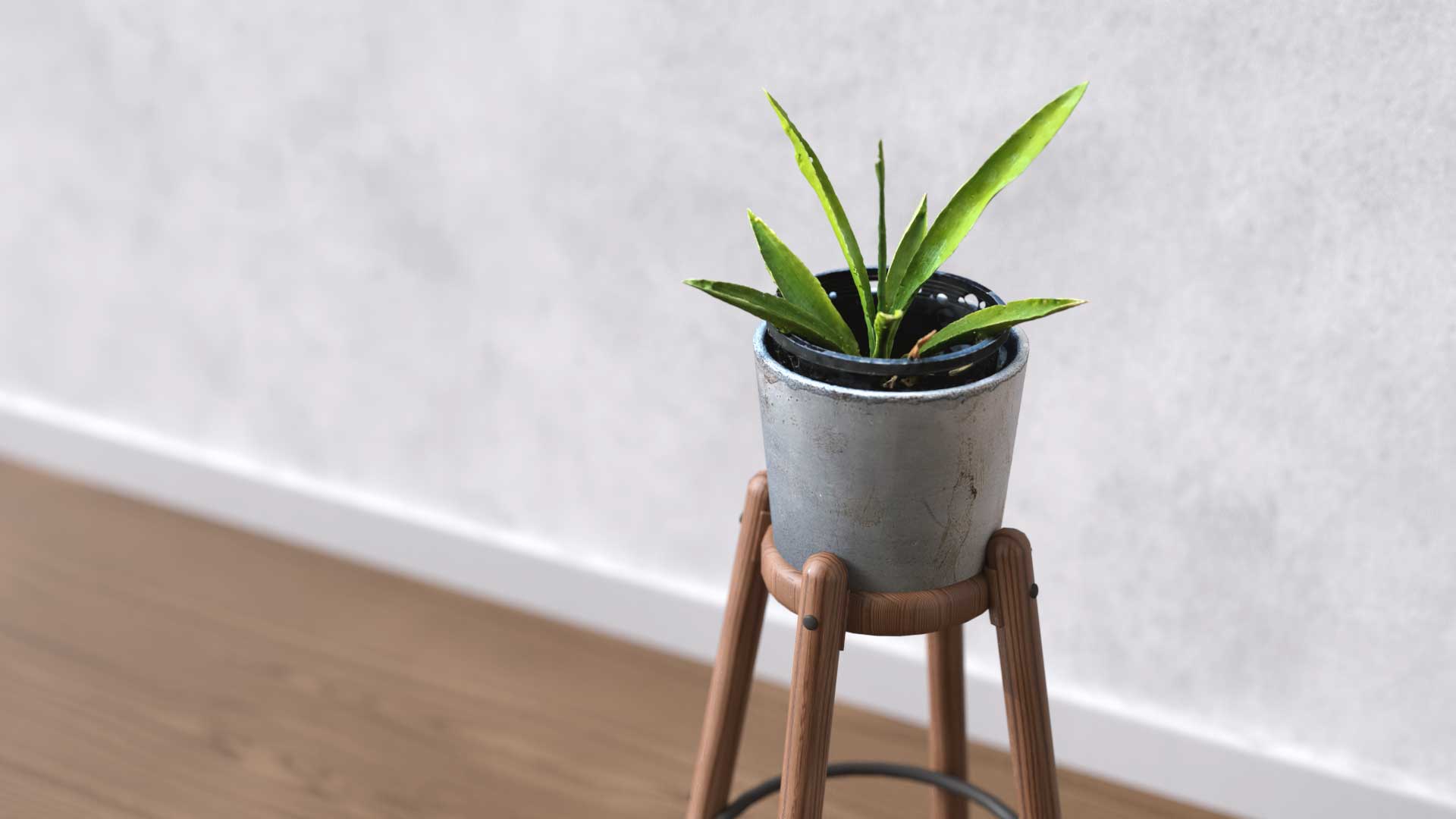 Photogrammetry Just Got Easier: Create awesome 3D models from photos with Substance 3D Sampler