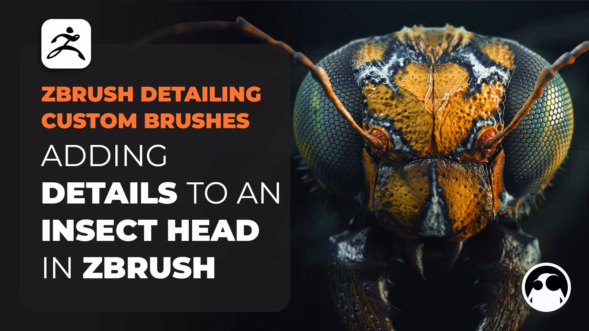 Detailing an Insect Head in ZBrush with Custom Brushes