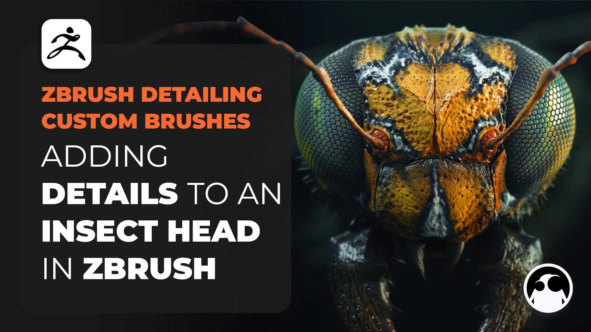 Detailing an Insect Head in ZBrush with Custom Brushes