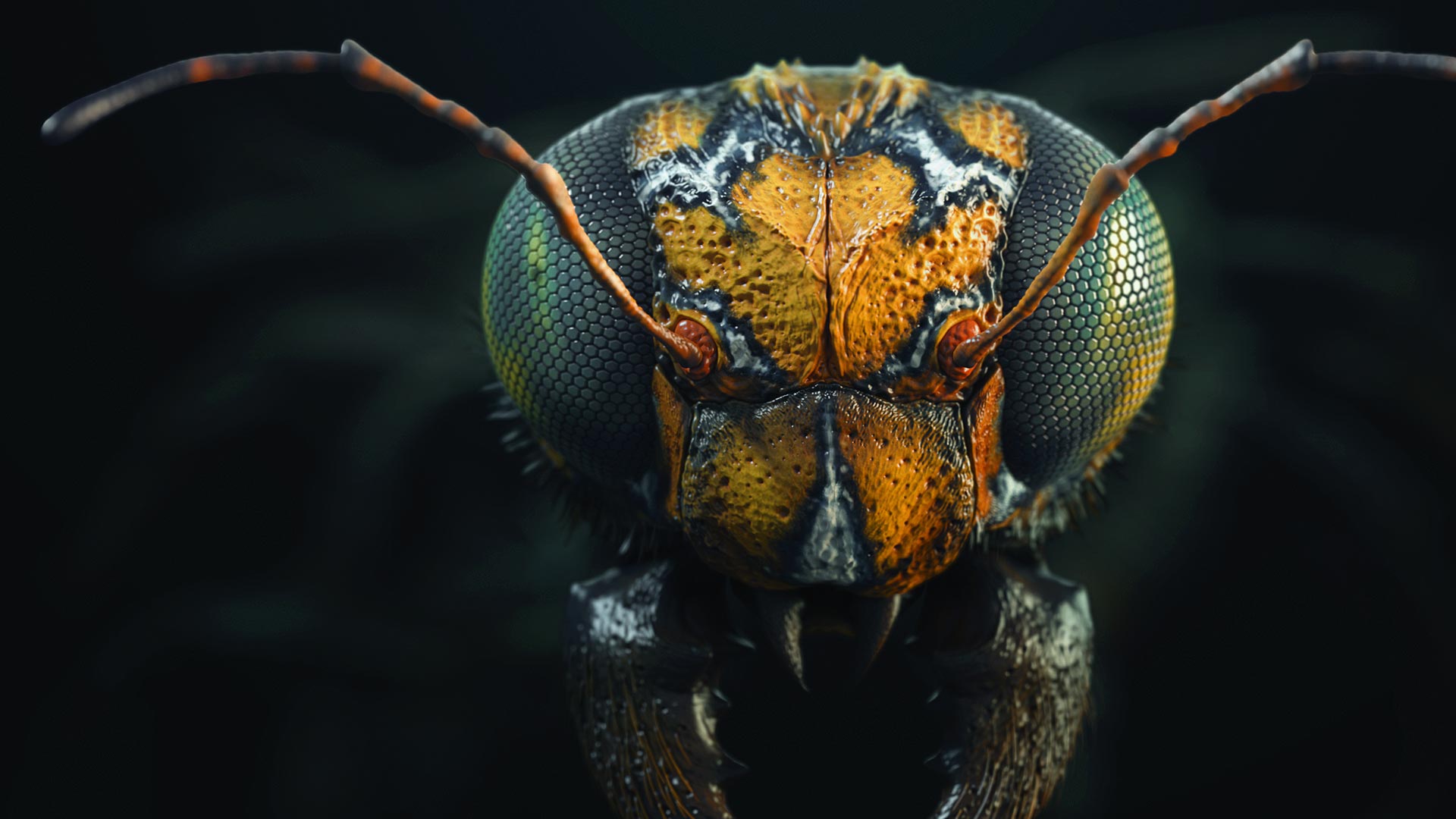 Detailing an Insect Head in ZBrush with Custom Brushes
