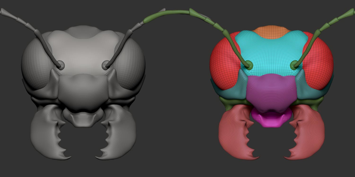 Insect primitive shapes basemesh