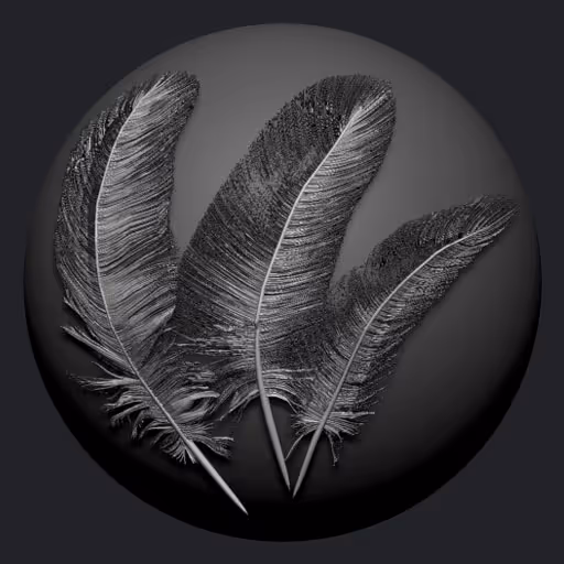 Multi Feathers Complex