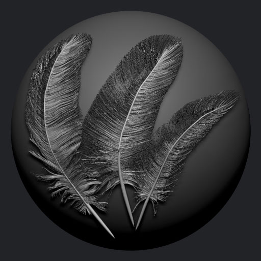 Multi Feathers Complex