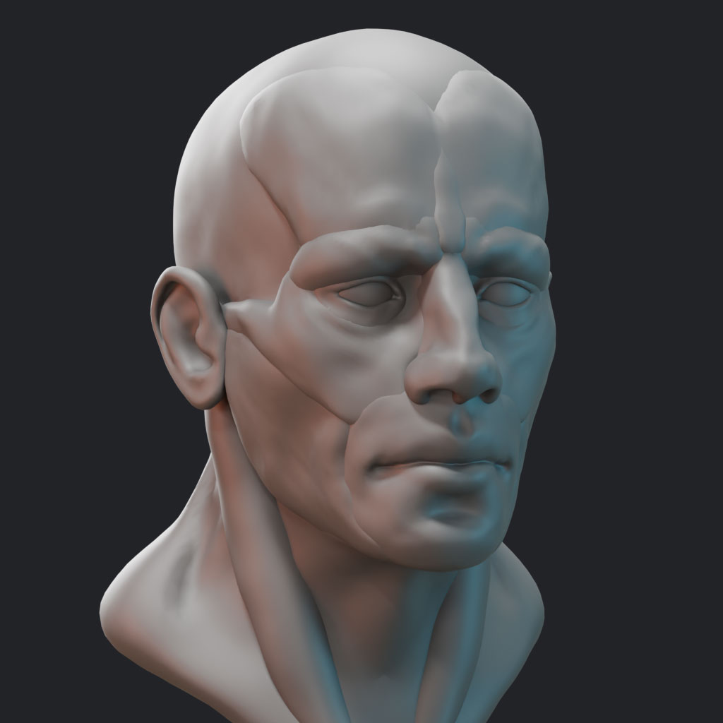Modular head