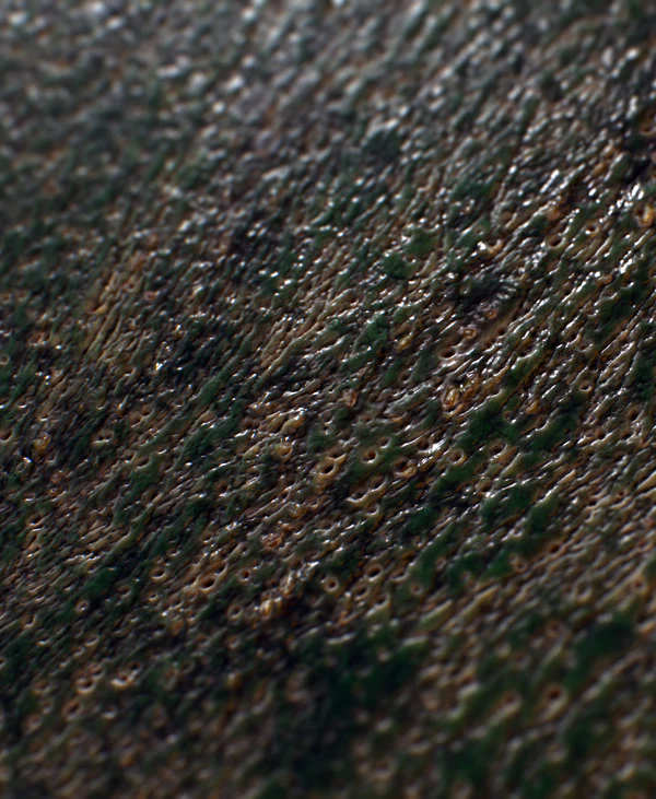 Creature Texture and Skin Brushes Pack