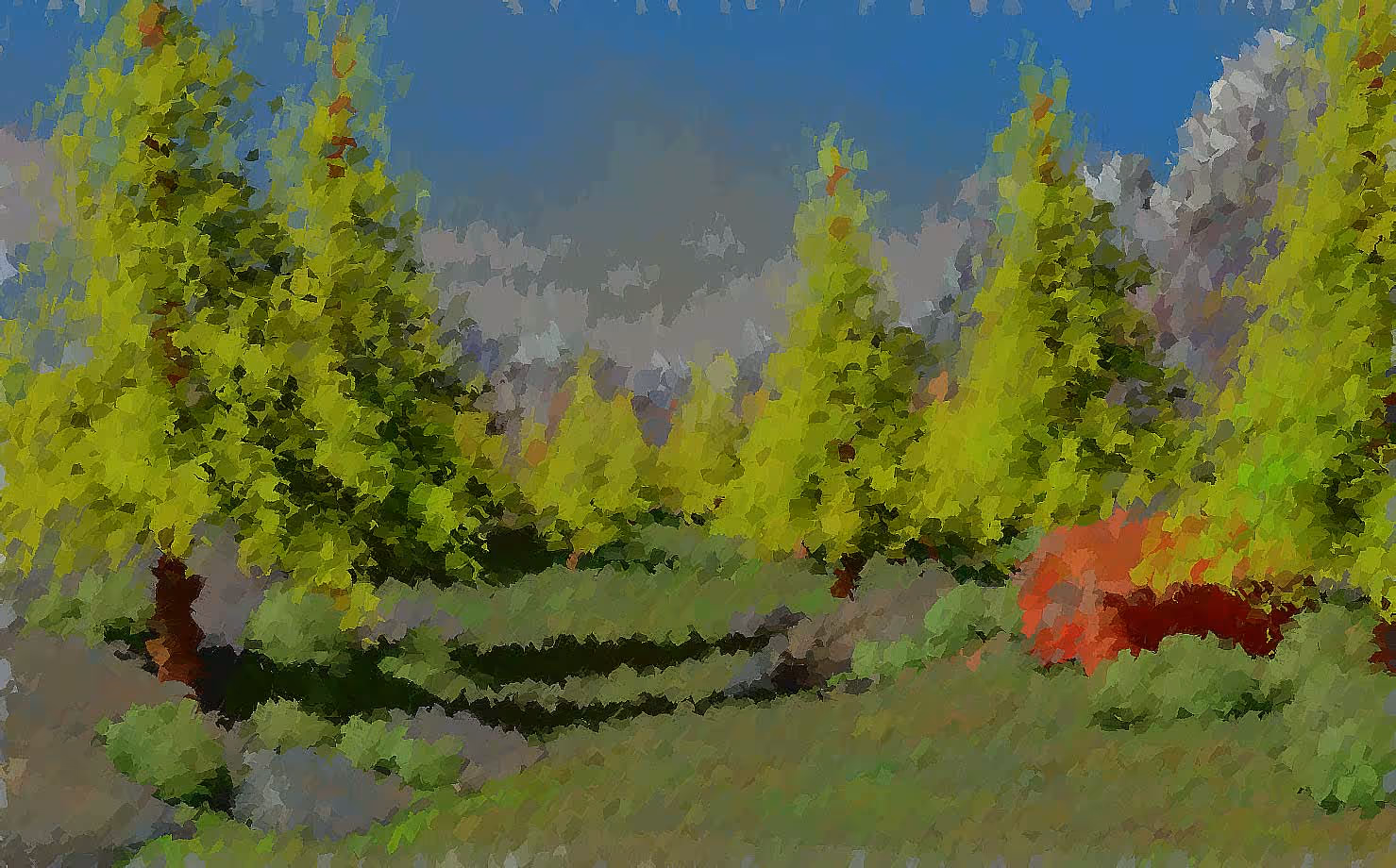 Brushy Illustration