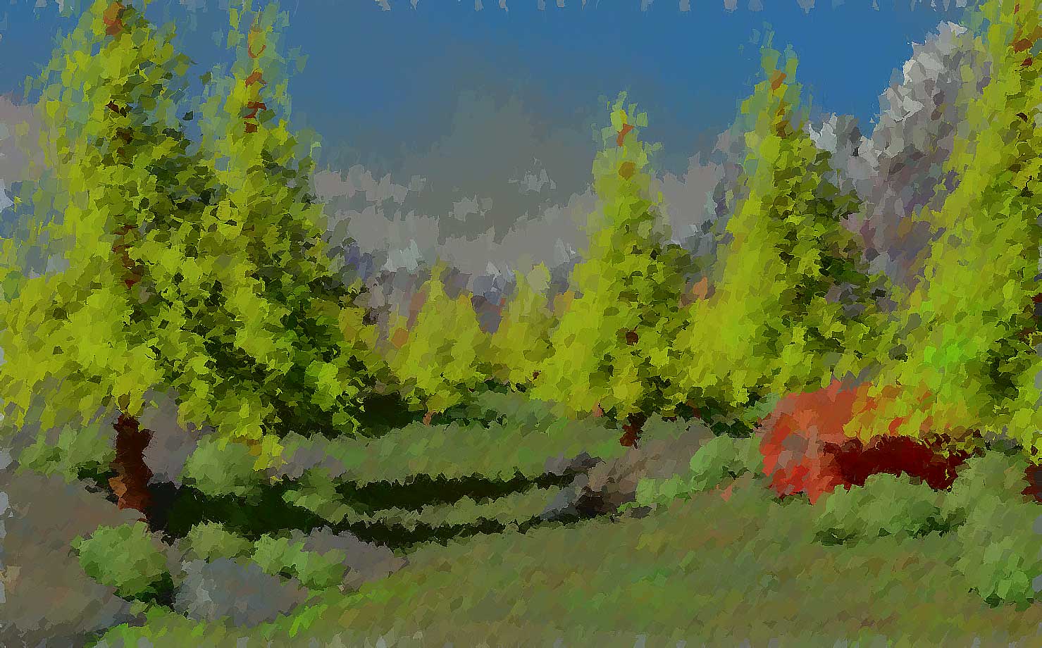 Brushy Illustration