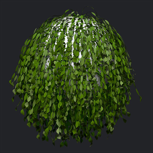 Dangling Plant